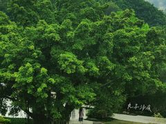 -福州火车站(地铁站)