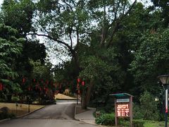 -南宁良凤江国家森林公园