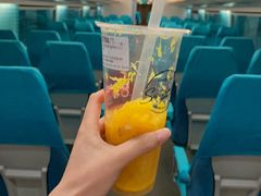 -龙阳路磁悬浮列车总站-停车场