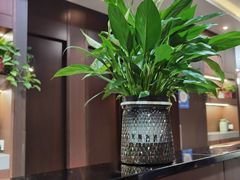 -南方太太小锅米饭(西工区金谷园路店)