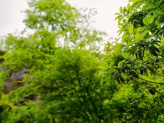 -宏善康享苑颐养中心