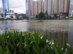 -花果园湿地公园