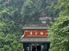 -碧峰峡风景区