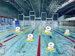 -奥林匹克体育中心游泳馆