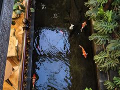 -福禧酒窖·中餐厅 (万柳店)