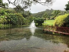 -热带雨林自然公园