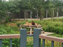 -石家庄市动物园