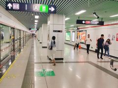 -紫庐(地铁站)