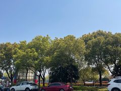 -顾村公园3号门停车场