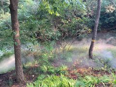 -北京西山国家森林公园