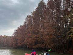 -上海海湾国家森林公园