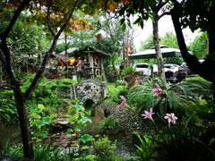 -青城甲(青城山店)