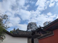 -真庆观