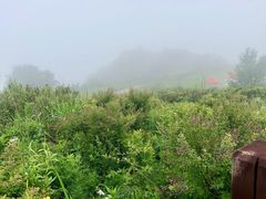 -妙峰山风景名胜区
