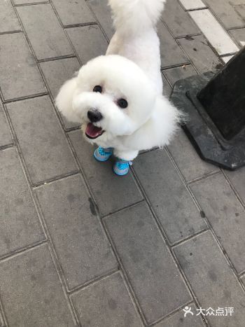 男孩人很好，但是这水平一言难尽！