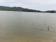 -四明湖