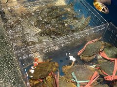 水产区-百里鲜·闽南家宴·福建菜