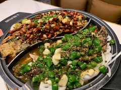 -锦尚阁烤鱼(望京新荟城店)