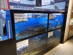 水产区-舒来喜鱼锅(伊河路店)
