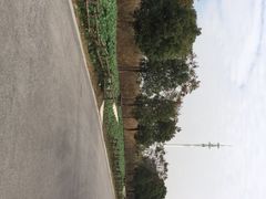 -同里国家湿地公园