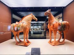 -西安大唐西市博物馆