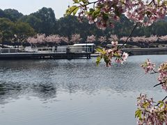 -新江湾城公园