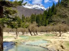 -黄龙山原始森林景区