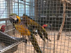 -南宫五洲植物乐园