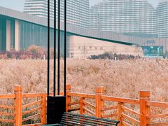 -保定东湖公园(莲池区)