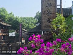 -乌镇西栅景区