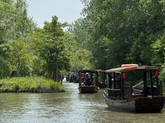 -溱湖国家湿地公园