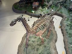 -辽宁古生物博物馆
