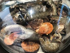 -大锅强·蒸海鲜青岛菜(吾悦广场店)