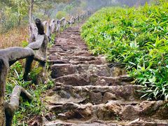 -梧桐山风景名胜区
