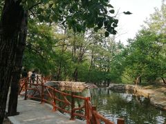 -封龙山风景区