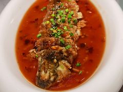 -大榕树下顺德菜(融创茂店)