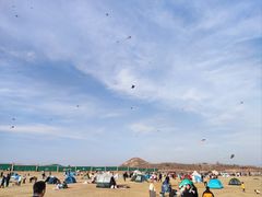-君乐宝优致牧场
