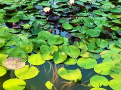 -国家植物园南园