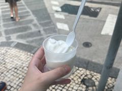 -洪馨椰子