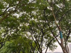 -重庆中央公园(渝北区)