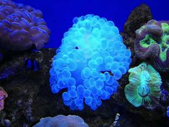 -石家庄极地海洋世界
