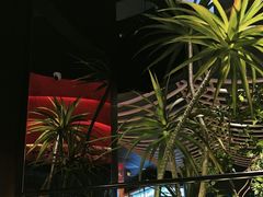 -芸山季·云南山珍菌火锅(人民广场来福士店)