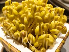 豆芽-巴奴毛肚火锅(悠唐购物中心店)
