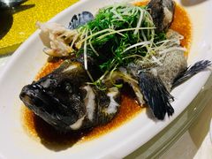 -强记海鲜·大排档(蛇口新街店)