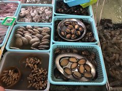 -南沙十九涌渔人码头-南门