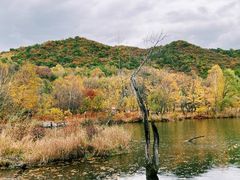 -玉渡山自然风景区