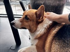 -简象咖啡CAFE ELE JANE(满陇桂雨店)