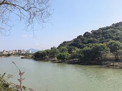 -风云岭森林公园