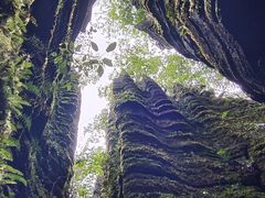 -梭布垭石林景区