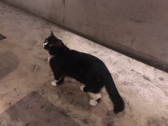 -么么咖啡(燕郊店)